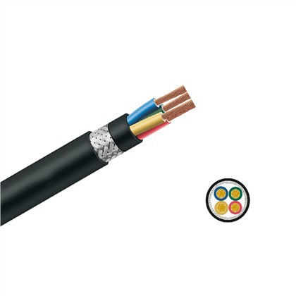 Câble flexible blindé (RVVP)